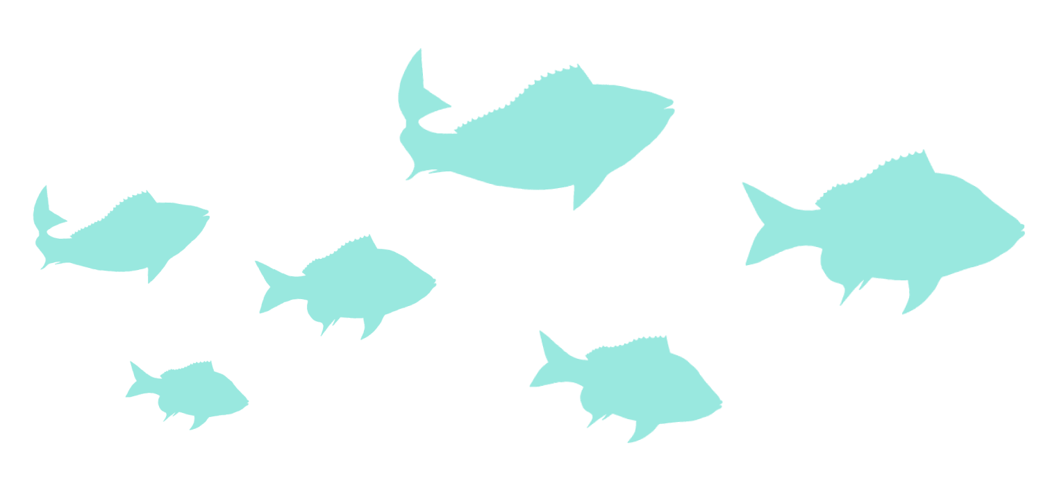 Fish-Illustrations